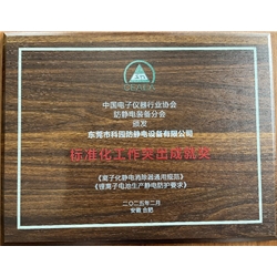 标准化工作突出成就奖