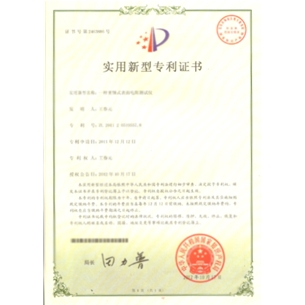 The patent certificate