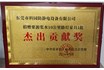 爱心照明暖乡路，公益担当再前行